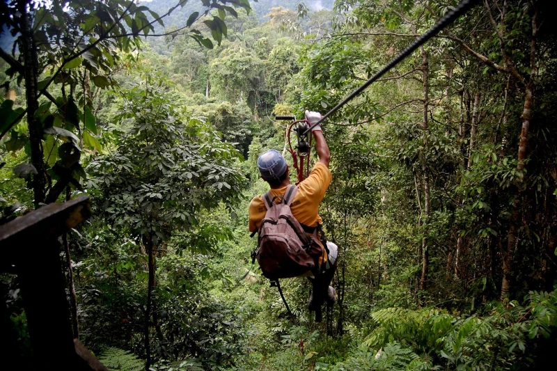 Zip line en Tambopata